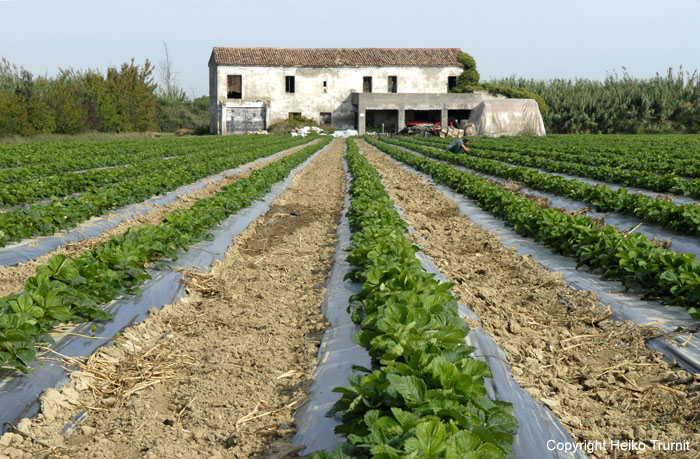 Biofarm Emilia Romagna