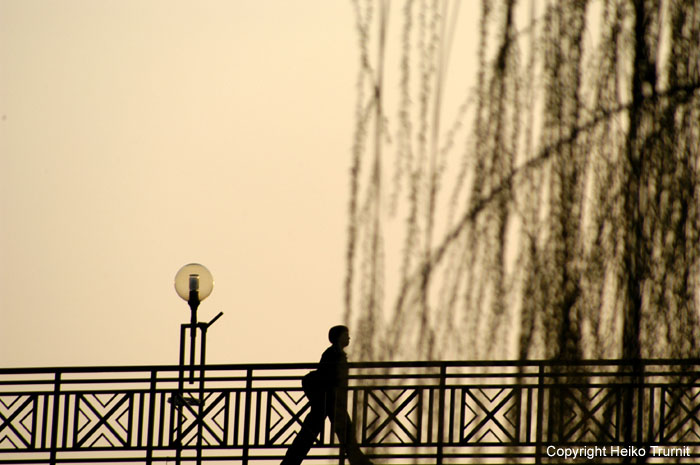 Brücke in Maribor