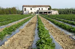 Biofarm Emilia Romagna