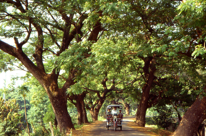 Allee in Vientiane