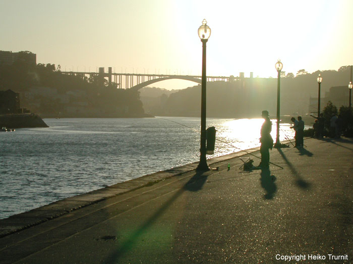 Fischen am Rio Douro