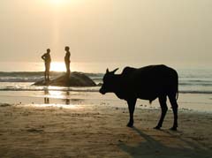 Strand in Gokarna